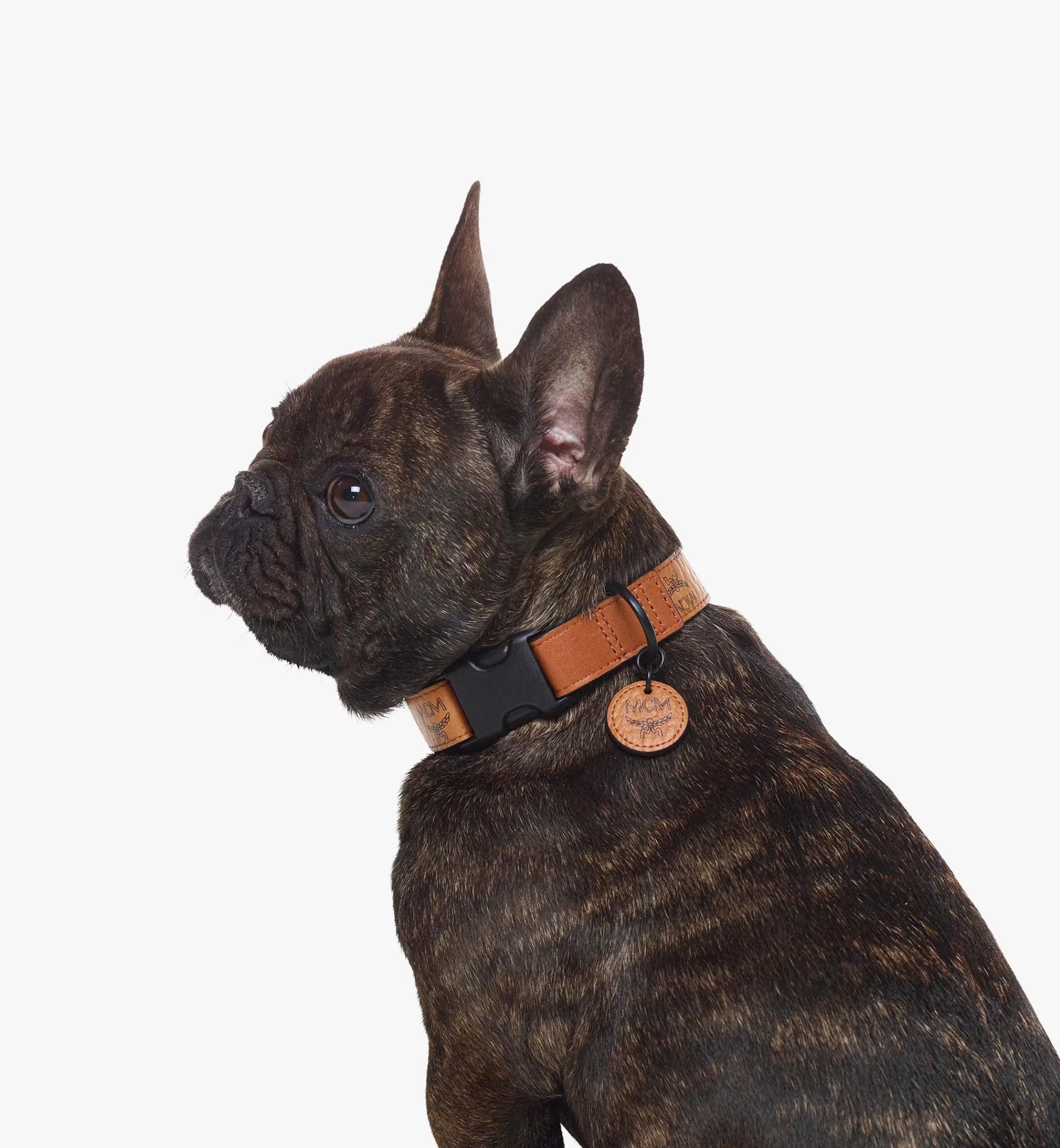 Best Sale Collier Pour Animal De Compagnie En Visetos Accessoires Pour Animaux